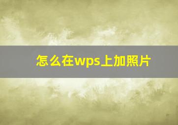 怎么在wps上加照片