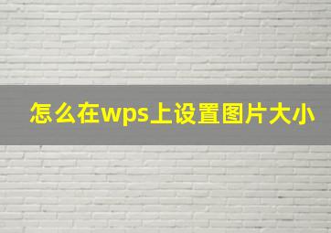 怎么在wps上设置图片大小