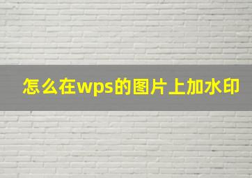 怎么在wps的图片上加水印