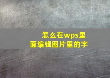 怎么在wps里面编辑图片里的字