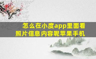 怎么在小度app里面看照片信息内容呢苹果手机