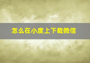 怎么在小度上下载微信