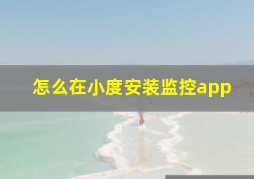 怎么在小度安装监控app