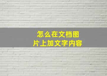 怎么在文档图片上加文字内容