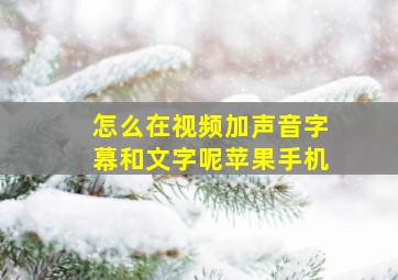 怎么在视频加声音字幕和文字呢苹果手机