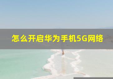 怎么开启华为手机5G网络