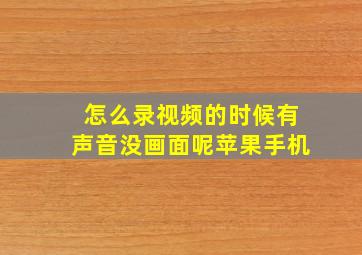 怎么录视频的时候有声音没画面呢苹果手机