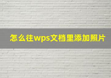 怎么往wps文档里添加照片