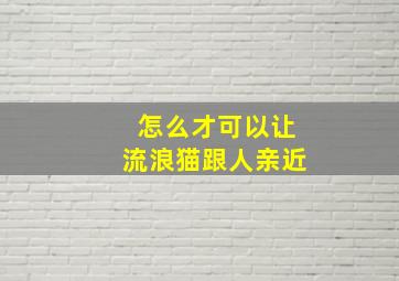 怎么才可以让流浪猫跟人亲近