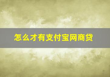 怎么才有支付宝网商贷