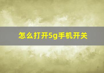 怎么打开5g手机开关