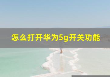 怎么打开华为5g开关功能