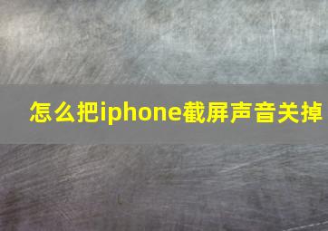 怎么把iphone截屏声音关掉