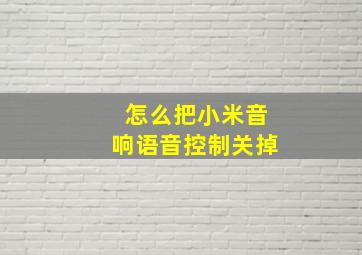 怎么把小米音响语音控制关掉