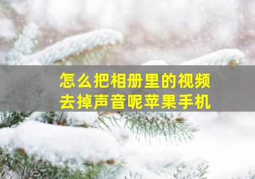 怎么把相册里的视频去掉声音呢苹果手机