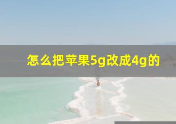 怎么把苹果5g改成4g的