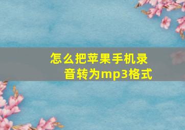 怎么把苹果手机录音转为mp3格式