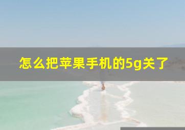 怎么把苹果手机的5g关了