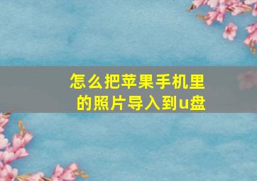 怎么把苹果手机里的照片导入到u盘