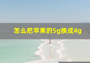 怎么把苹果的5g换成4g