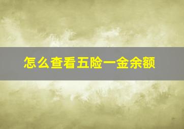 怎么查看五险一金余额