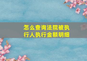 怎么查询法院被执行人执行金额明细