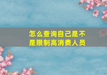 怎么查询自己是不是限制高消费人员