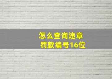 怎么查询违章罚款编号16位