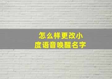 怎么样更改小度语音唤醒名字