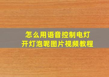 怎么用语音控制电灯开灯泡呢图片视频教程