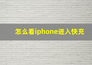 怎么看iphone进入快充