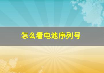 怎么看电池序列号