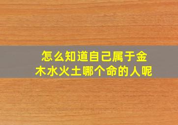 怎么知道自己属于金木水火土哪个命的人呢