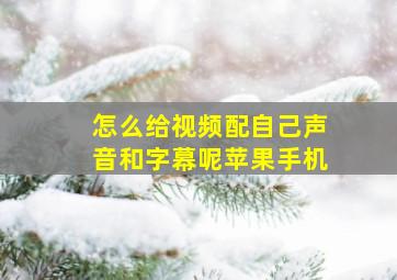 怎么给视频配自己声音和字幕呢苹果手机