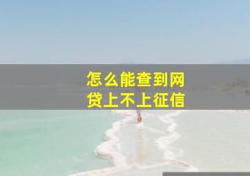 怎么能查到网贷上不上征信