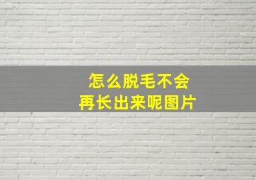 怎么脱毛不会再长出来呢图片