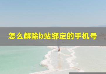 怎么解除b站绑定的手机号