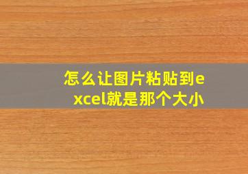 怎么让图片粘贴到excel就是那个大小