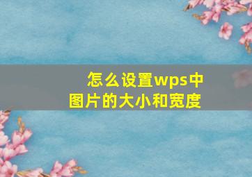 怎么设置wps中图片的大小和宽度