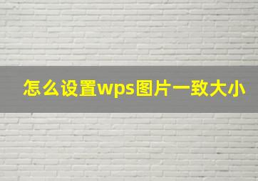 怎么设置wps图片一致大小