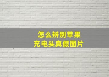 怎么辨别苹果充电头真假图片