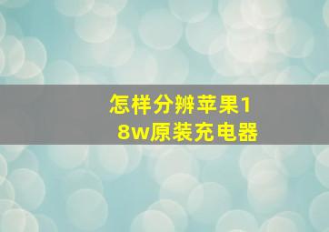 怎样分辨苹果18w原装充电器