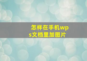 怎样在手机wps文档里加图片