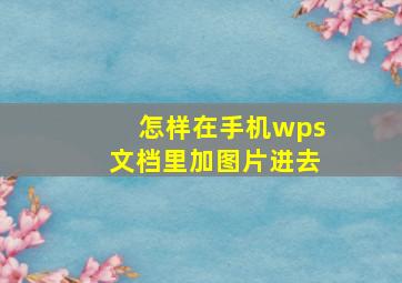 怎样在手机wps文档里加图片进去