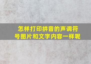 怎样打印拼音的声调符号图片和文字内容一样呢