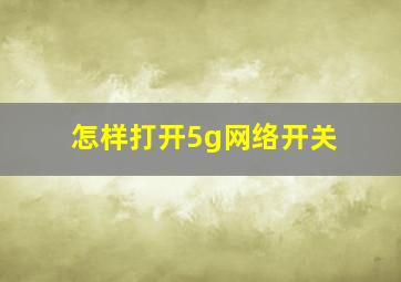 怎样打开5g网络开关