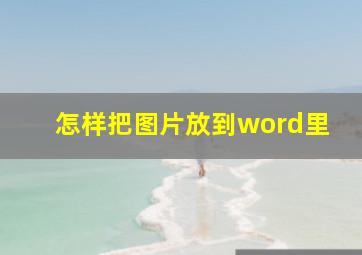 怎样把图片放到word里