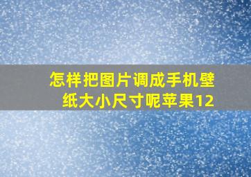 怎样把图片调成手机壁纸大小尺寸呢苹果12