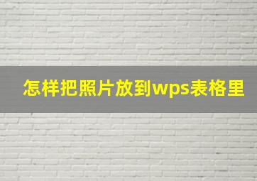 怎样把照片放到wps表格里