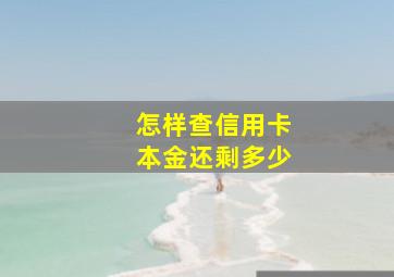 怎样查信用卡本金还剩多少